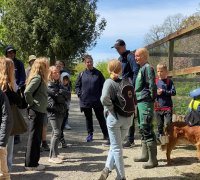 Rundvisning Rundvisning